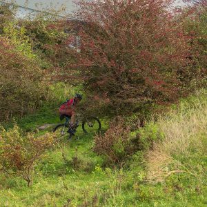 Buytenwegh de Leyens \ Buytenpark