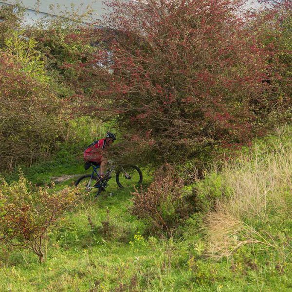 Buytenwegh de Leyens \ Buytenpark