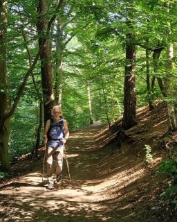 Gisteren samen met Maxim (mijn zoon) getraind op de Duivelsberg bij Berg en Dal voor onze wandeling rond de Mont Blanc in september. Heerlijk en na afloop pannenkoeken eten bij het Duivelsberg pannenkoekenhuis. (foto’s: Maxim van Zeijl)

#wandelen #wandelenindenatuur #bergendal #fototrip