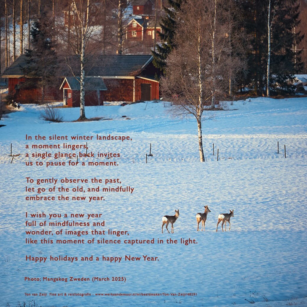 In het stille winterlandschap blijft un momentje hangen, een enkele blik achterom nodigt ons uit om even stil te staan.
Om het verleden zacht te observeren, het oude loslaten en met aandacht het nieuwe jaar weer te omarmen.
Ik wens je een nieuw jaar vol aandacht en  verwondering, van beelden die bijblijven, zoals dit ogenblik van stilte gevangen in het licht.
Fijne feestdagen en een gelukkig Nieuwjaar  Happy holidays and a happy New Year